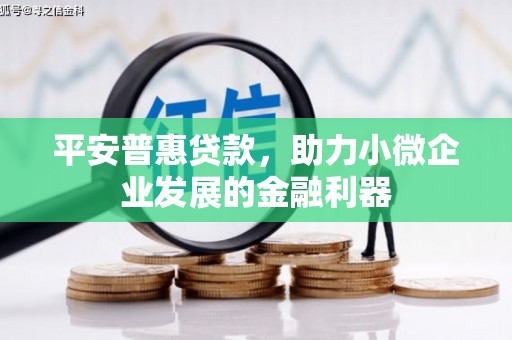 宁乡平安普惠贷款，助力小微企业发展的金融利器
