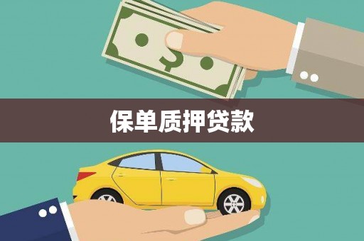 宁乡保单质押贷款