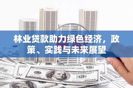 宁乡林业贷款助力绿色经济，政策、实践与未来展望