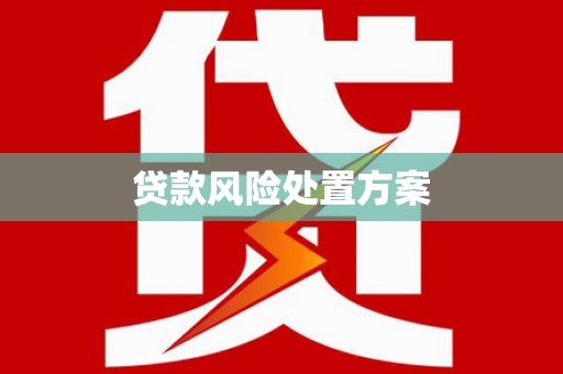 宁乡贷款风险处置方案