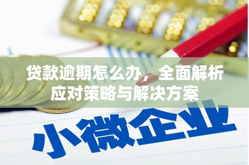 宁乡贷款逾期怎么办，全面解析应对策略与解决方案