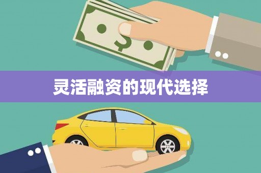 宁乡灵活融资的现代选择