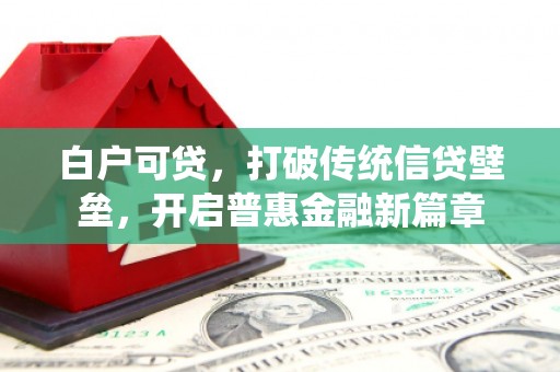 宁乡白户可贷，打破传统信贷壁垒，开启普惠金融新篇章