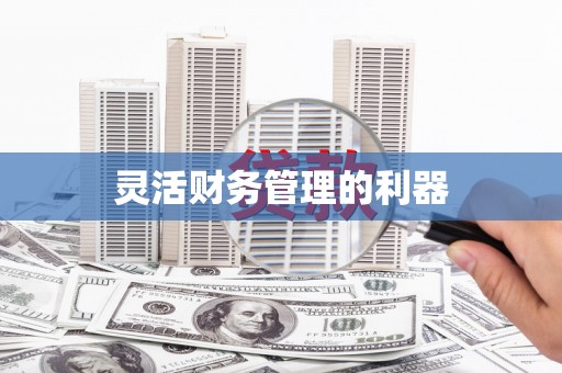 宁乡灵活财务管理的利器