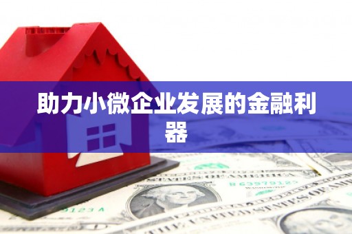 宁乡助力小微企业发展的金融利器
