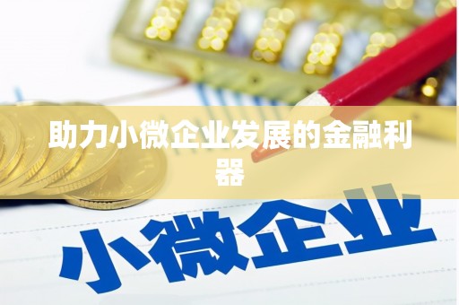 宁乡助力小微企业发展的金融利器