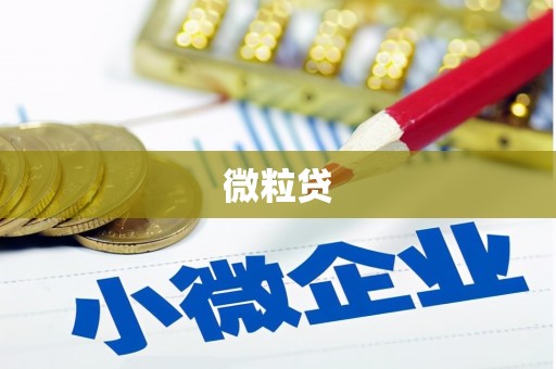 宁乡微粒贷