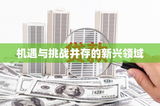 宁乡机遇与挑战并存的新兴领域
