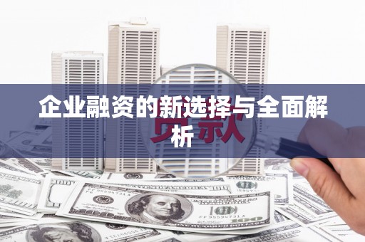 宁乡企业融资的新选择与全面解析