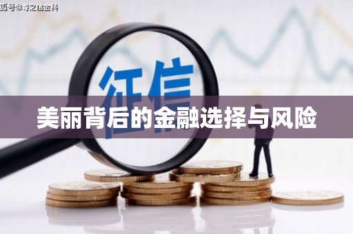 宁乡美丽背后的金融选择与风险