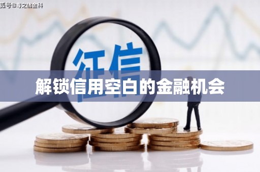 宁乡解锁信用空白的金融机会