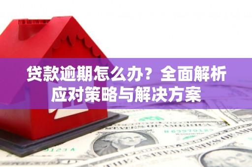 宁乡贷款逾期怎么办？全面解析应对策略与解决方案