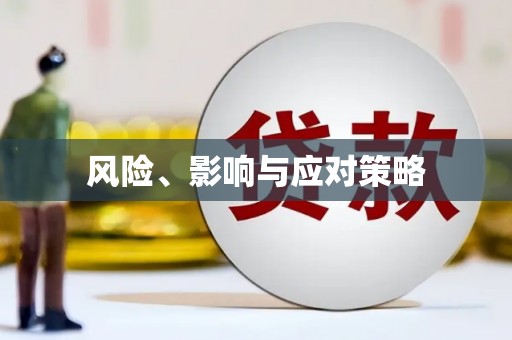 宁乡风险、影响与应对策略