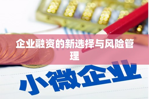 宁乡企业融资的新选择与风险管理