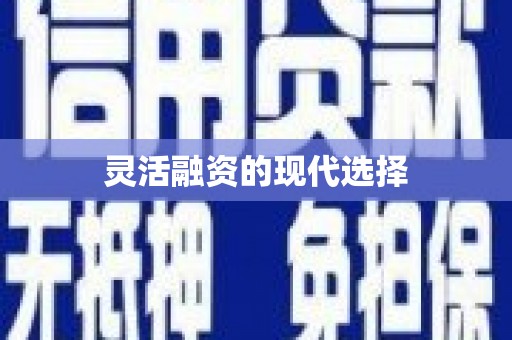 宁乡灵活融资的现代选择