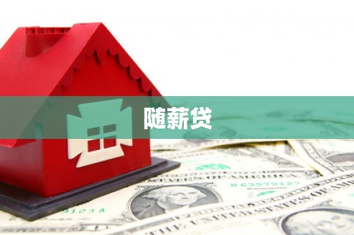 宁乡随薪贷
