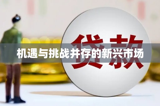 宁乡机遇与挑战并存的新兴市场