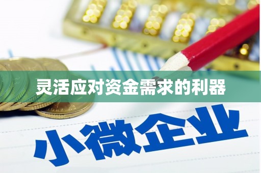 宁乡灵活应对资金需求的利器