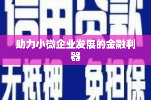 宁乡助力小微企业发展的金融利器