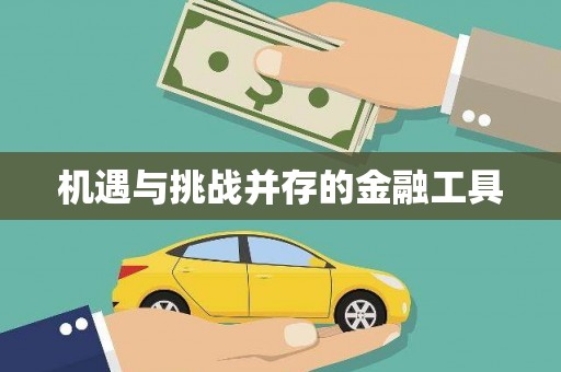 宁乡机遇与挑战并存的金融工具