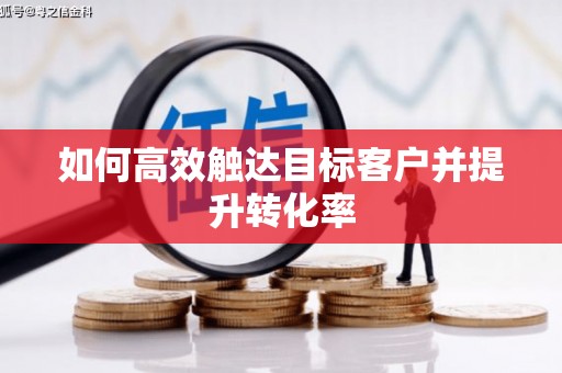 宁乡如何高效触达目标客户并提升转化率