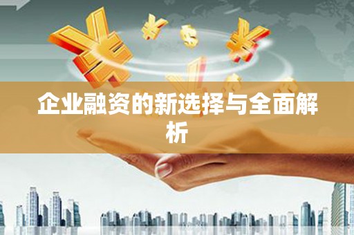 宁乡企业融资的新选择与全面解析