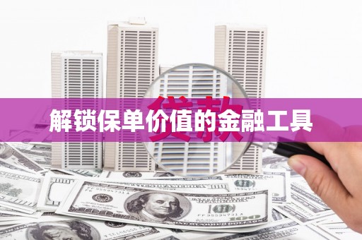 宁乡解锁保单价值的金融工具