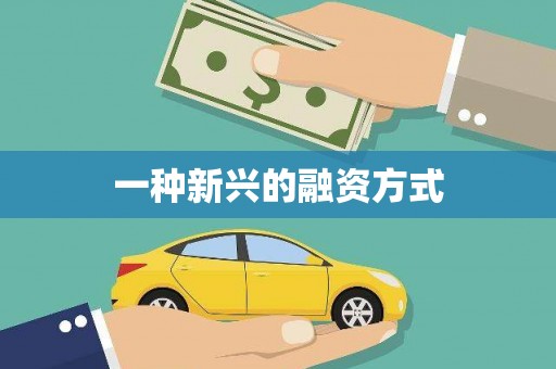 宁乡一种新兴的融资方式