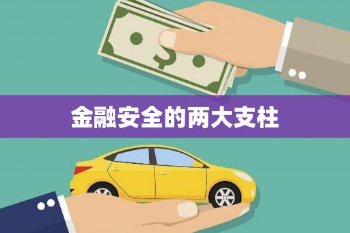 宁乡金融安全的两大支柱