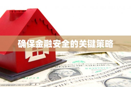 宁乡确保金融安全的关键策略