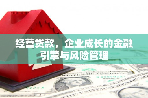 宁乡经营贷款，企业成长的金融引擎与风险管理