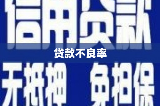 宁乡贷款不良率