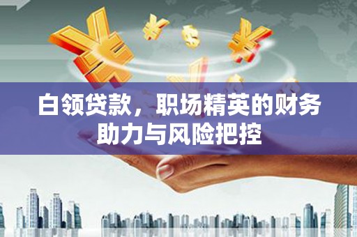 宁乡白领贷款,职场精英的财务助力与风险把控 宁乡白领贷款,职场精英的财务助力与风险把控