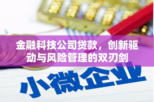宁乡金融科技公司贷款，创新驱动与风险管理的双刃剑